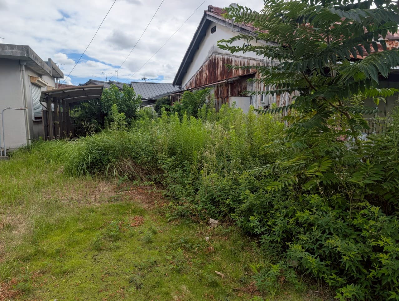 施工前(Before)
